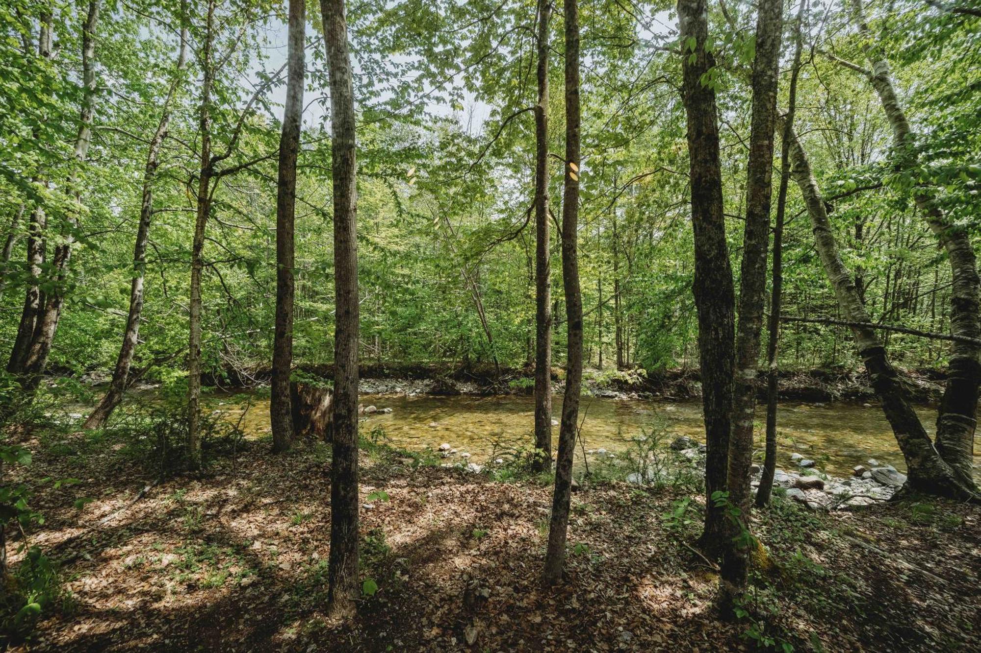 Lumen Nature Retreat Woodstock Cameră foto